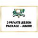 3 PRIVATE LESSON PACKAGE - JUNIOR